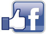 like_facebook_petit